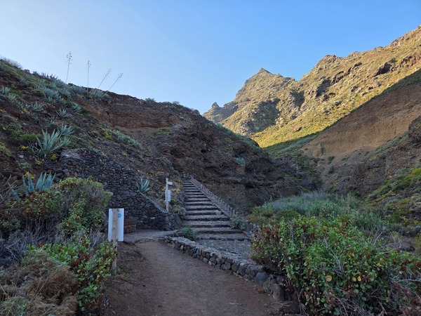 Stone steps lead inland from the coast toward the Anaga cliffs on the PR TF-10 route.