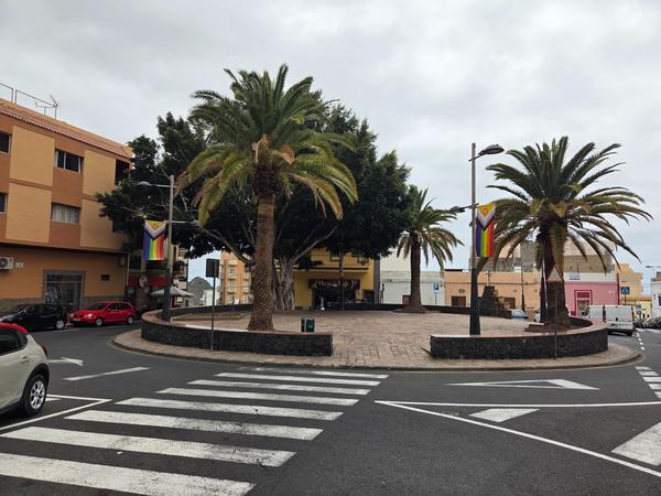 Palm trees surrounding a small circular plaza with rainbow flags in Adeje.