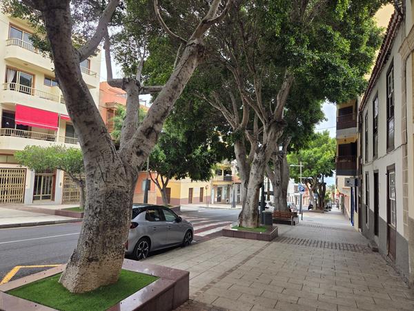 Tree-lined sidewalk in central Adeje with apartment buildings and old facades.