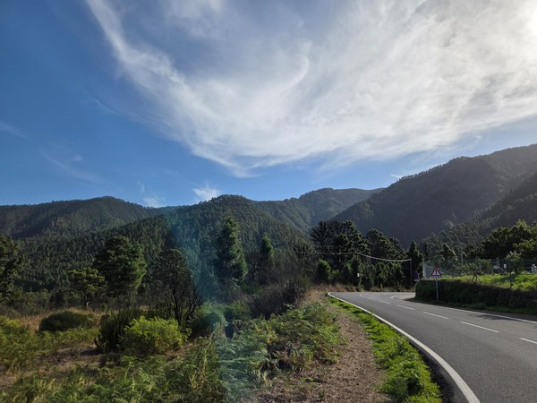 Carretera y pista de montaña que conduce por la zona de pinar de Aguamansa con cielos despejados.