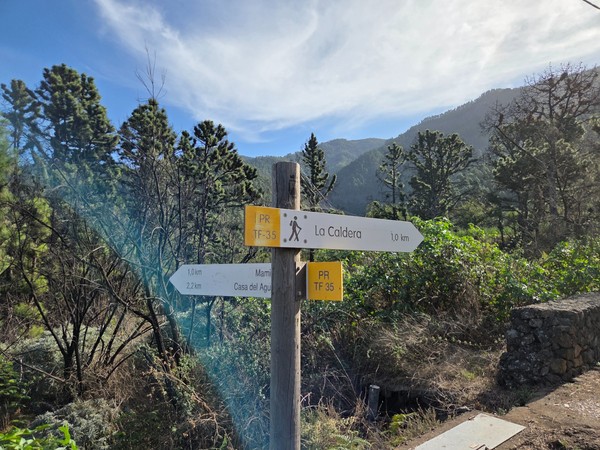 Poste del sendero PR TF-35 indicando La Caldera y Mamio entre pinos de Aguamansa.