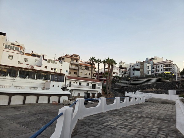 Side walkway along the square in Alcalá with trimmed ficus trees, benches, and low buildings.