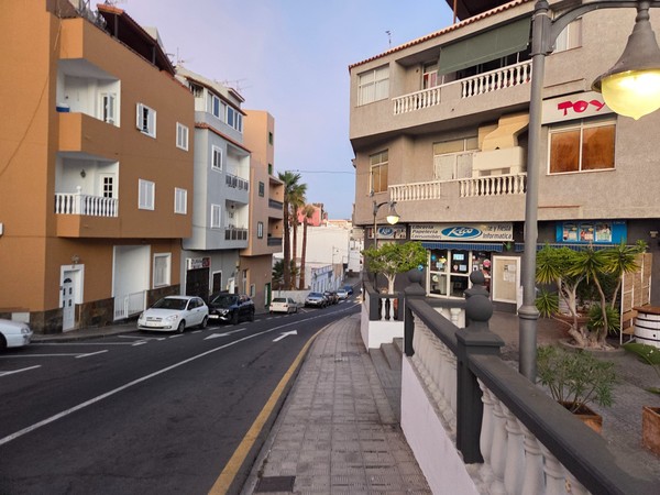 Broad town square in Alcalá framed by large ficus trees with benches and planters.