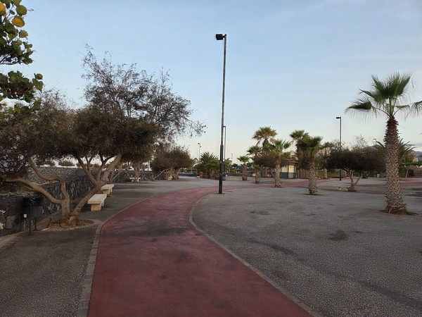 Curving jogging path and palm-lined promenade section in the Alcalá coastal park.