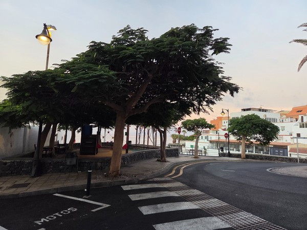 Small neighborhood play corner in Alcalá sheltered by broad shade trees, close to the seafront.