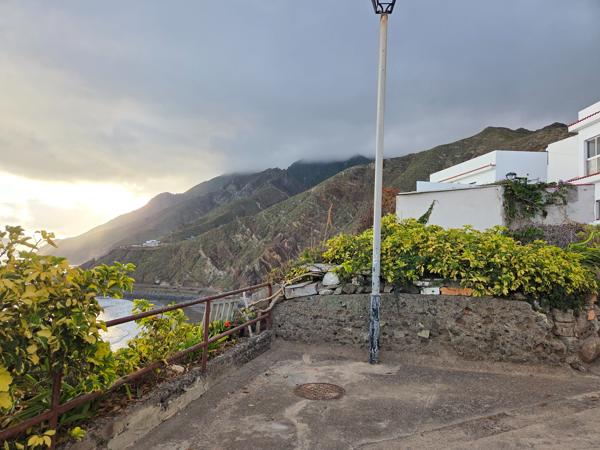 Upper terrace in Almáciga with coastal plants and a viewpoint towards the ocean.