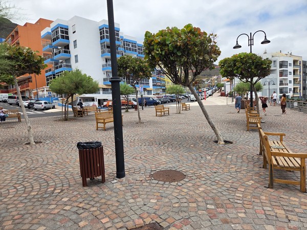 Tree-lined seafront square in Bajamar with benches and cobbled paving.