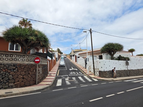 Residential street in Bajamar lined with dragon trees and traditional houses.