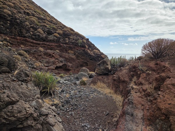 View from the ravine floor looking out between dry hills towards the Atlantic ocean with cacti in the foreground.