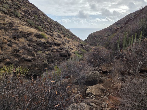 Rocky ravine in Barranco de Zapata with a dry stream bed leading down to the sea between cactus-covered slopes.