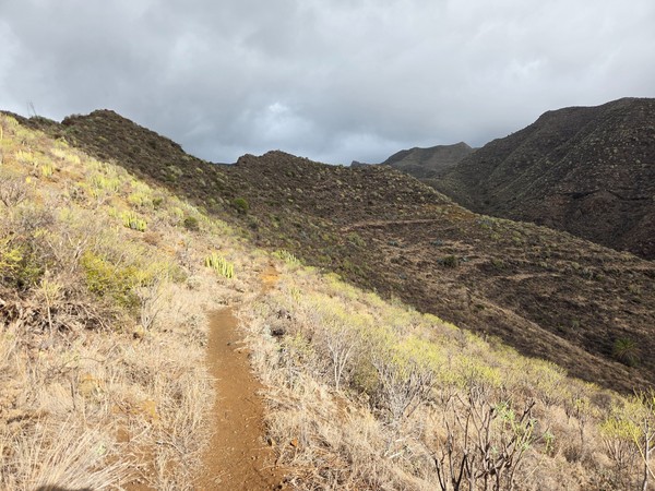 Narrow dirt hiking path on a dry volcanic hillside with scattered shrubs and cacti leading towards distant mountains.