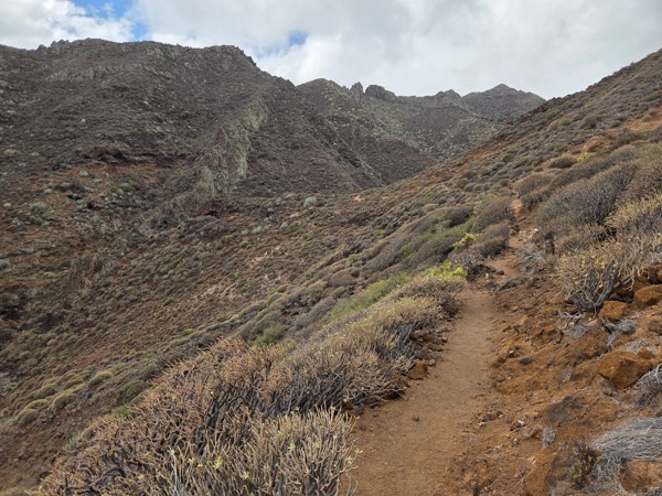 Narrow dirt hiking path crossing a dry slope in Barranco de Antequera with low bushes on both sides.