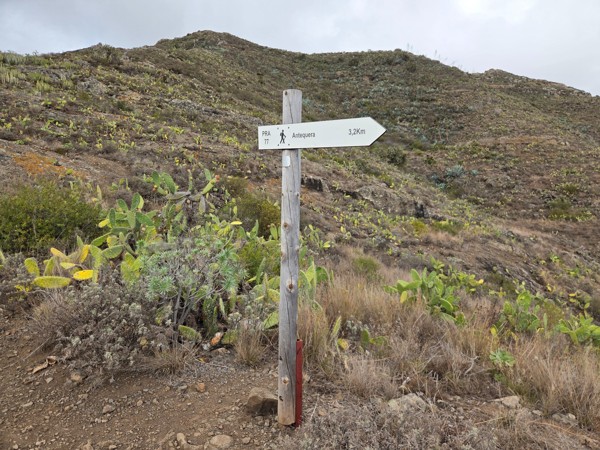 Wooden hiking signpost on a slope full of prickly pear cactus indicating PR TF 77 to Antequera with a distance of 3.2 kilometres.