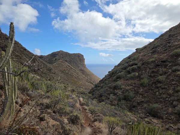 View from the hiking trail in Barranco de Antequera towards the ocean, with steep slopes covered in cardones on both sides.