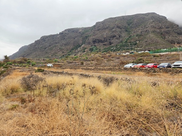 Traditional stone-walled agricultural terraces around Barranco Ruiz with parked cars along the lane.