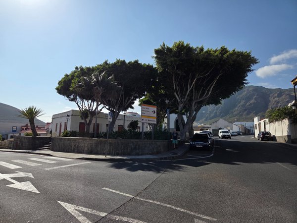 Shady street corner with large trees and signs pointing to El Palmar and Las Salinas.