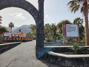 Palm-lined street beside the sea