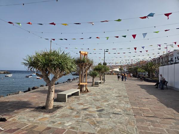 Promenade with trees and festive flags
