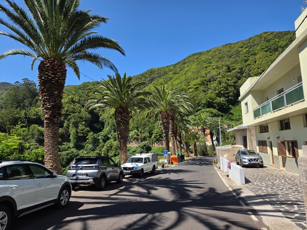Tall palm trees lining the main road through the village, offering a warm tropical atmosphere.