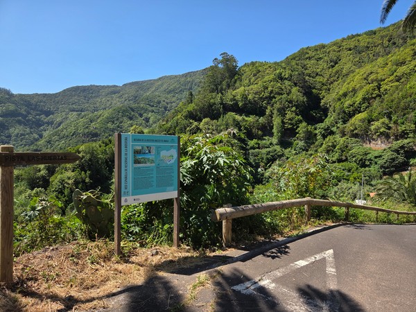 Trail entrance to 'Pista Las Huertas' — a popular path through the Anaga forests.