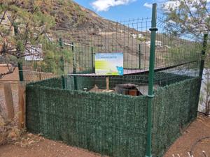 Cat colony enclosure in Radazul with shelter and shade