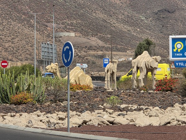 Stone camel statues at the roundabout entrance to La Chafira.