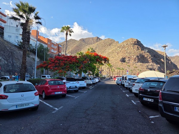 Parking area next to Los Charcos promenade with a flamboyant tree in bloom.