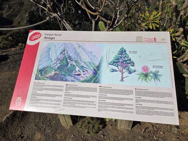Interpretive panel describing El Roque de los Pinos and the local flora such as Canarian Pine and Jara de Anaga.