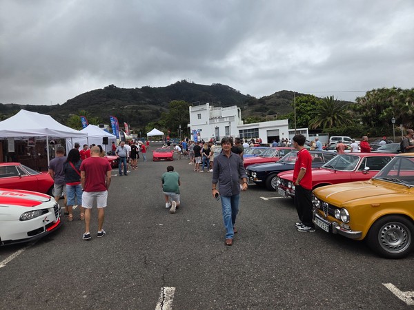 Visitors walking along a long lineup of classic Alfa Romeos at the Tegueste event, with vendor canopies and memorabilia stands to the left.