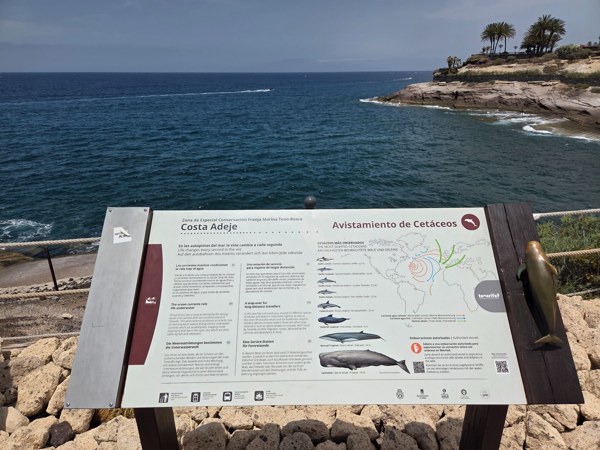 Whale and dolphin watching information board on the Costa Adeje coast.