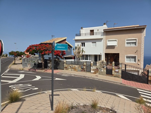 Avenida del Atlántico in Costanera with detached houses and flowering flamboyán trees.