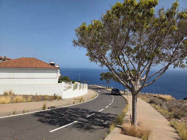 Curving residential road in Costanera descending toward the ocean with a tree in the foreground.