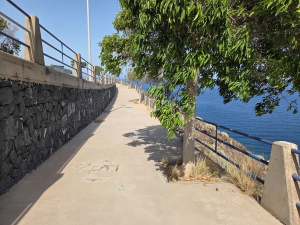 Pedestrian path with trees and railings following the cliff edge in Costanera, El Rosario.