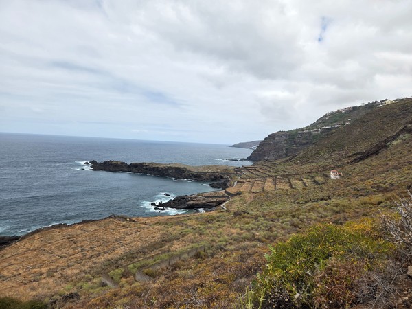 Wide panorama of Costa El Sauzal with terraced slopes, black lava headlands and the Atlantic on a cloudy morning.