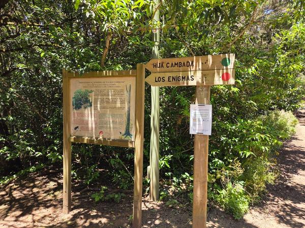 Multiple hiking trail signposts near a zebra crossing at Cruz del Carmen
