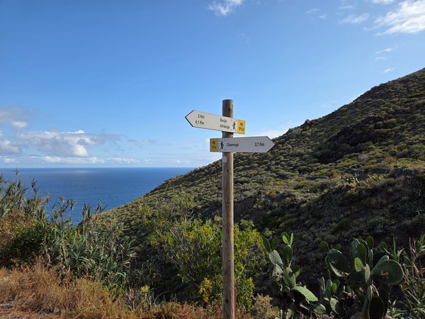 Wooden trail signpost marking PR-TF 2 toward Chamorga and PR-TF 2.1 toward Bajo Almáciga, set against the Atlantic horizon.
