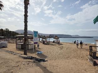 Palm-lined access to El Camisón Beach