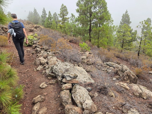 Fog lifting over rolling forested hills as the trail contours below the ridge near El Contador.