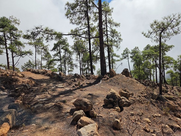 Hiker on a rocky singletrack bordered by stones in the El Contador pine forest.
