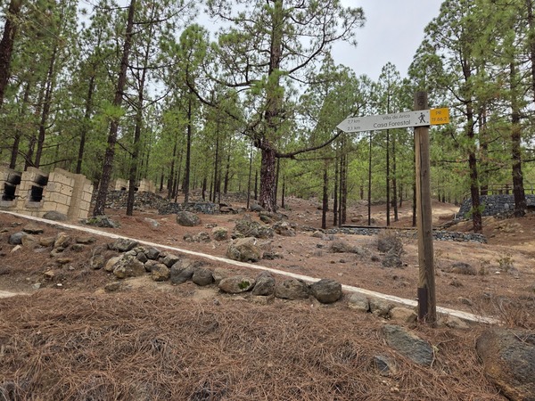 Trail junction signposts on PR TF-86.2 indicating directions to Arico Nuevo, Lomo de Tamadaya and El Contador.