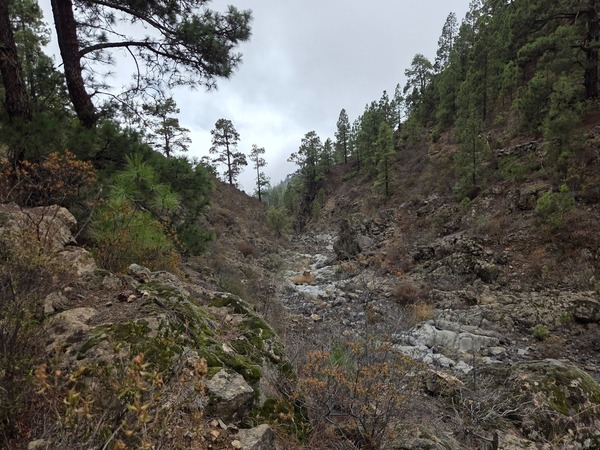 Stony ravine floor and weathered lava outcrops along a dry watercourse near El Contador.