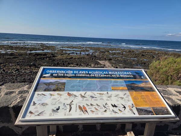 Information board about migratory waterbirds at El Cabezo tidal flats, placed beside the rocky shoreline.
