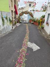 Street decorated with flowers for festivities in El Tanque