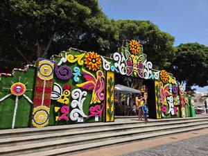 Decorated floral arch at the park entrance in Garachico during festival time.