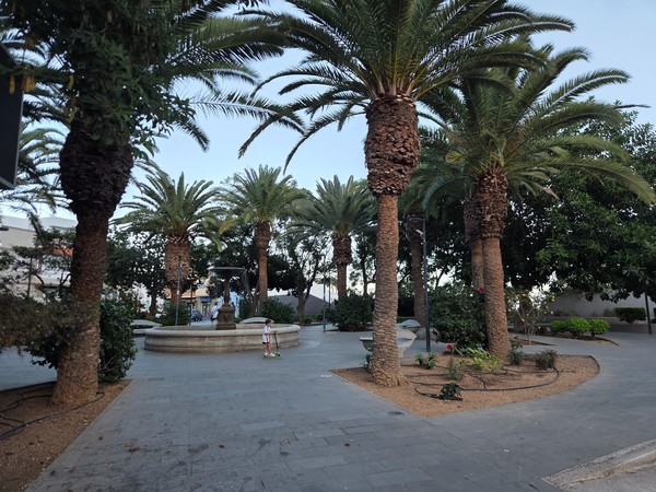Palm trees, flower beds and a circular fountain in one of the main parks of Güímar, Tenerife.