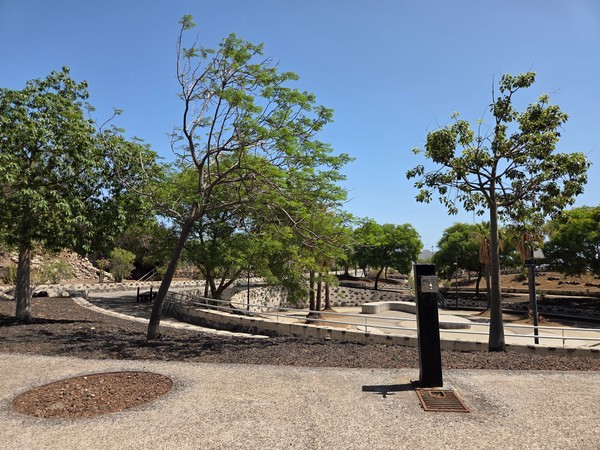 View across the central terraces with mature shade trees and seating areas around a paved plaza in La Higuera park.