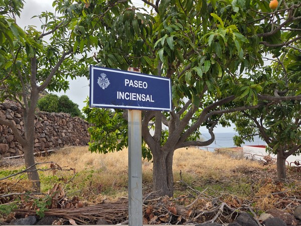 Sign for Paseo Inciensal, the coastal walkway of Igueste de San Andres.