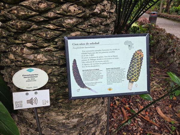 Interpretive panel explaining the century-old female cycad ‘One Hundred Years of Solitude’.