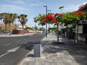 Street view with flowering trees in La Caleta