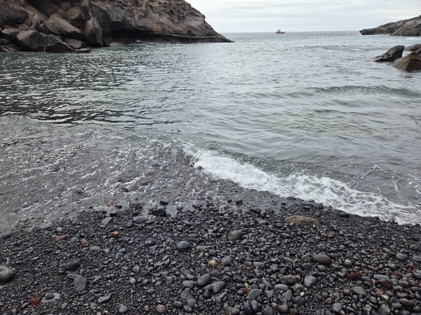Entrance path leading to the sheltered cove of Playa Las Galgas with young palms.
